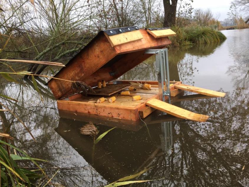 selbstgemachte Jäger fallen