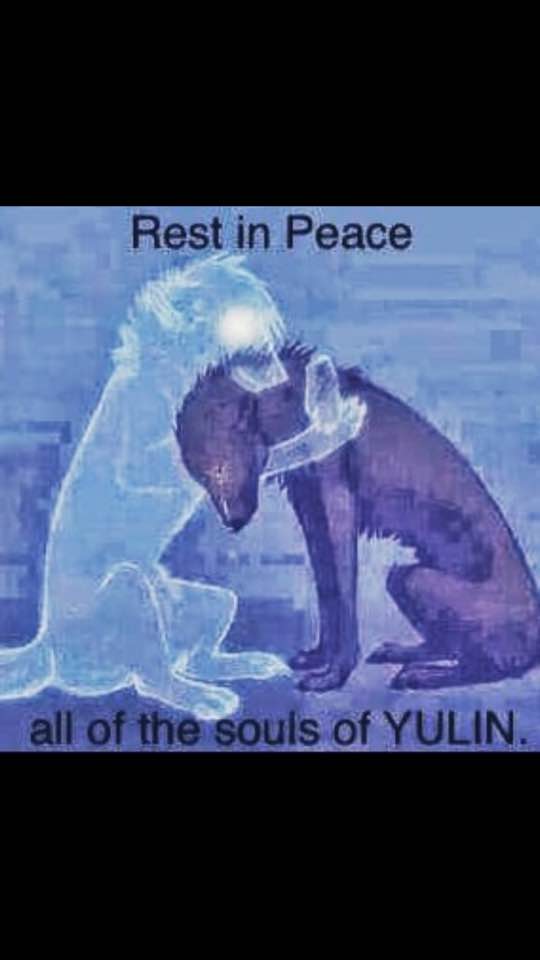 Yulin Foto