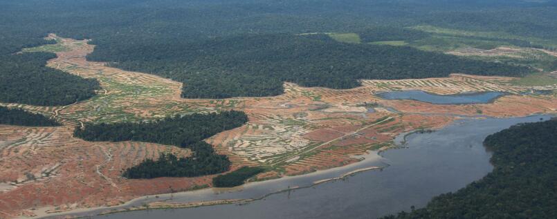 abgeholte Flächen in Brasilienjpg