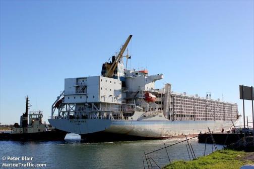 AL_SHUWAIKH another 2