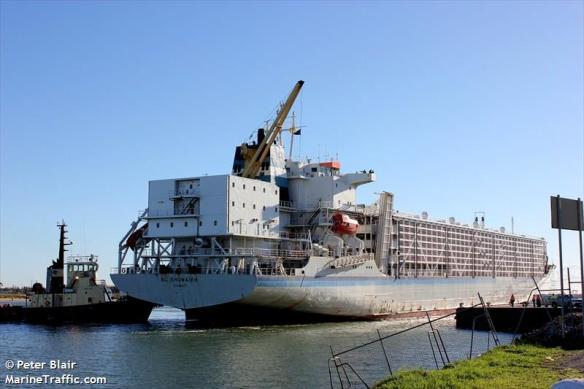 AL_SHUWAIKH another 2