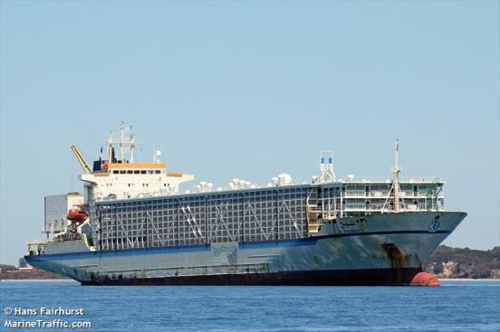 AL_SHUWAIKH another 3