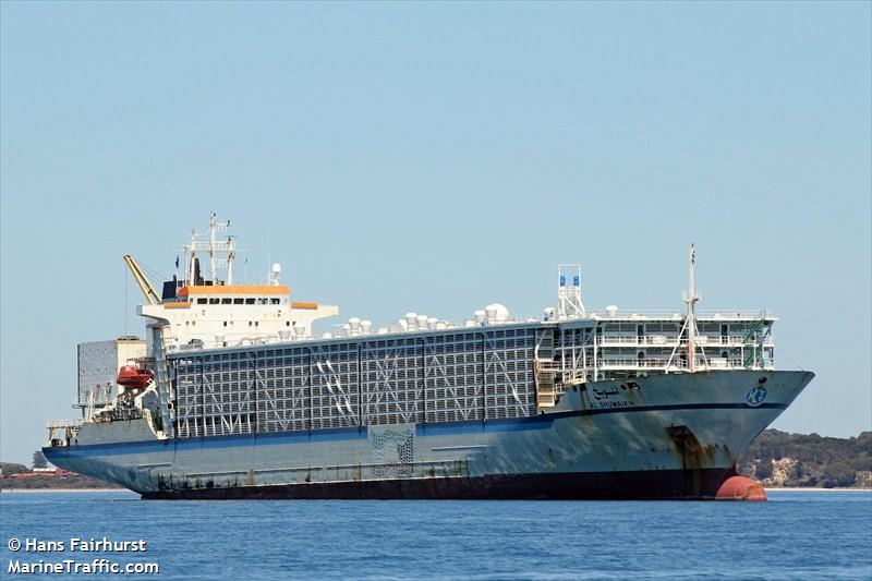 AL_SHUWAIKH another 3