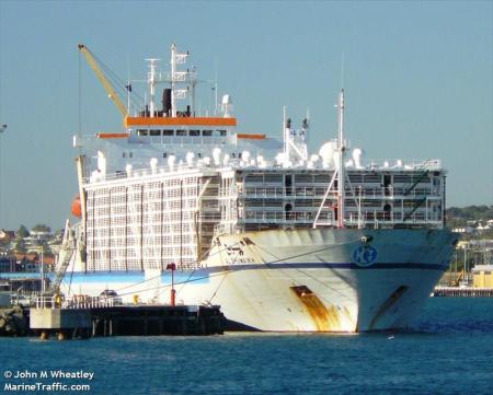 AL_SHUWAIKH another 4