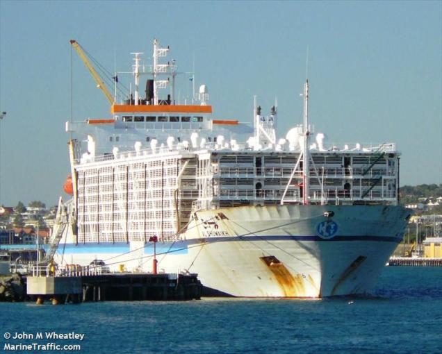 AL_SHUWAIKH another 4