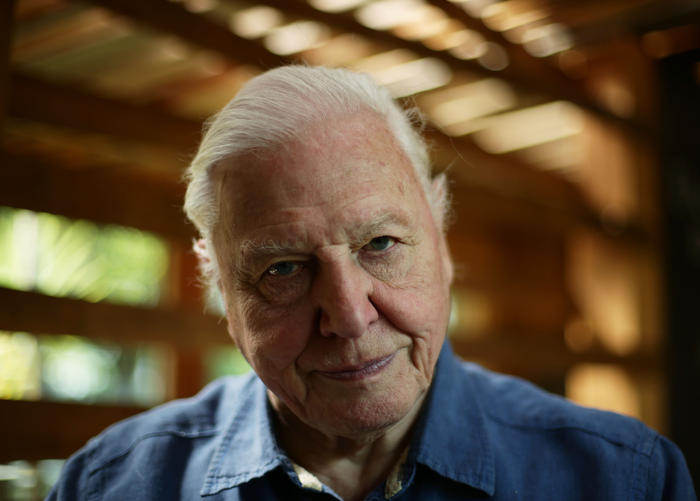 The Attenborough Komodo Dragon House