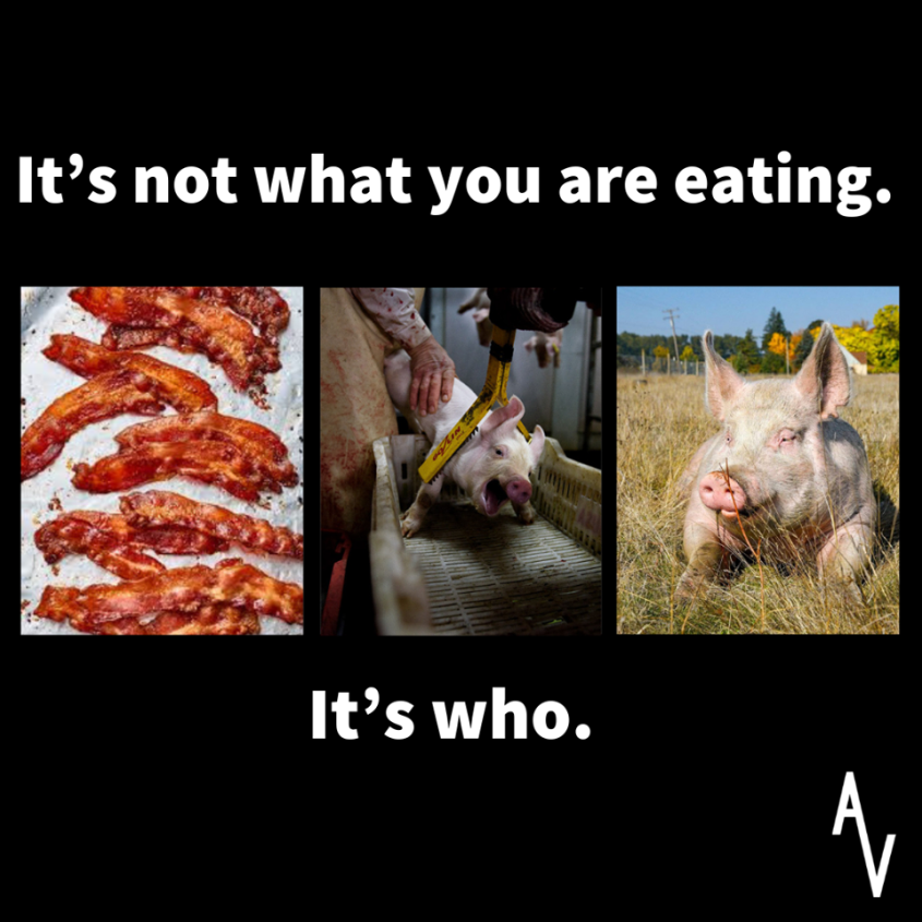 slogan über wen wir essen, nicht was