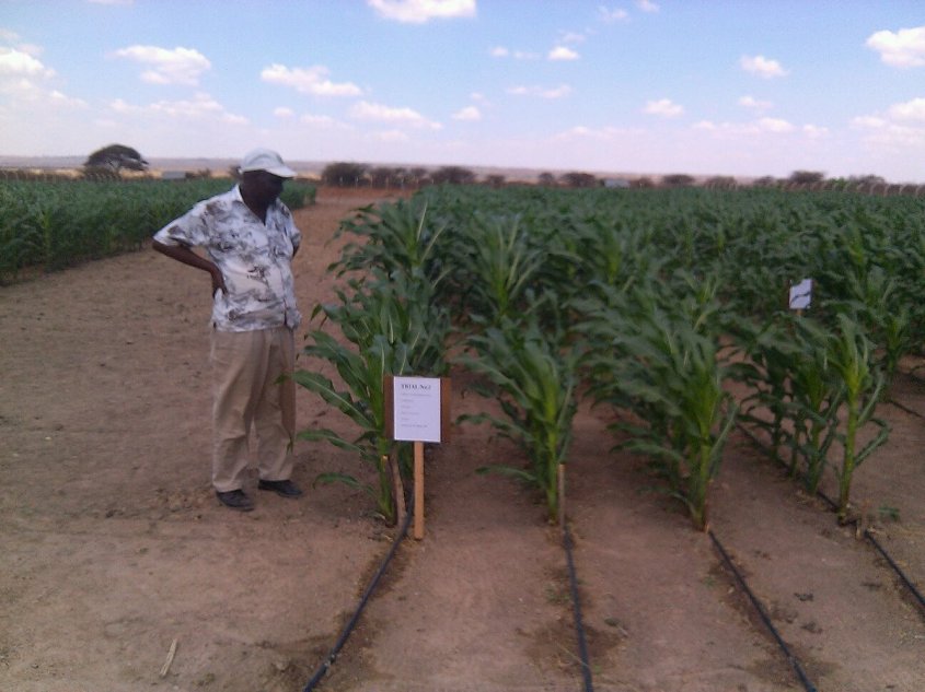 tansania monsantojpg