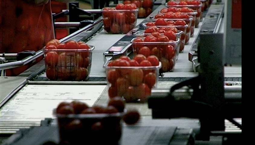 WE-FEED-THE-WORLD_01