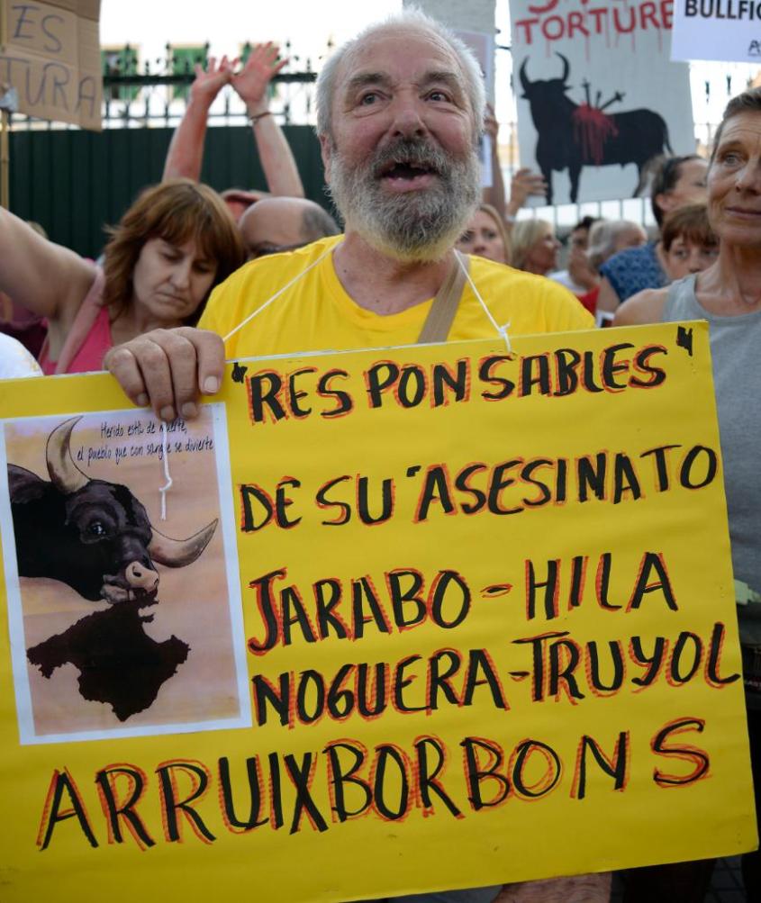 aktivist im Mallorca pg