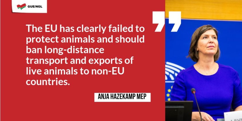 Anja-HatzekampDiertransporten-succes-2019