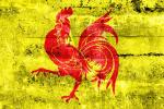 -flag--wallonia