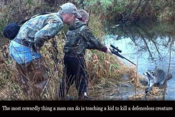 Kind erschießt Waschbär_n