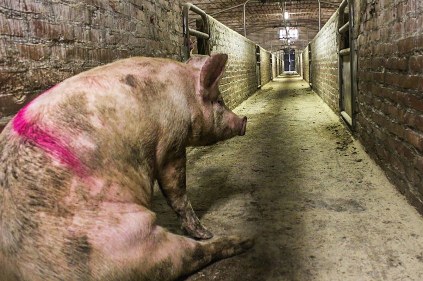 RichHardyFeature1200px