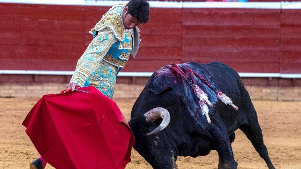 stierkampf-in-andalusien