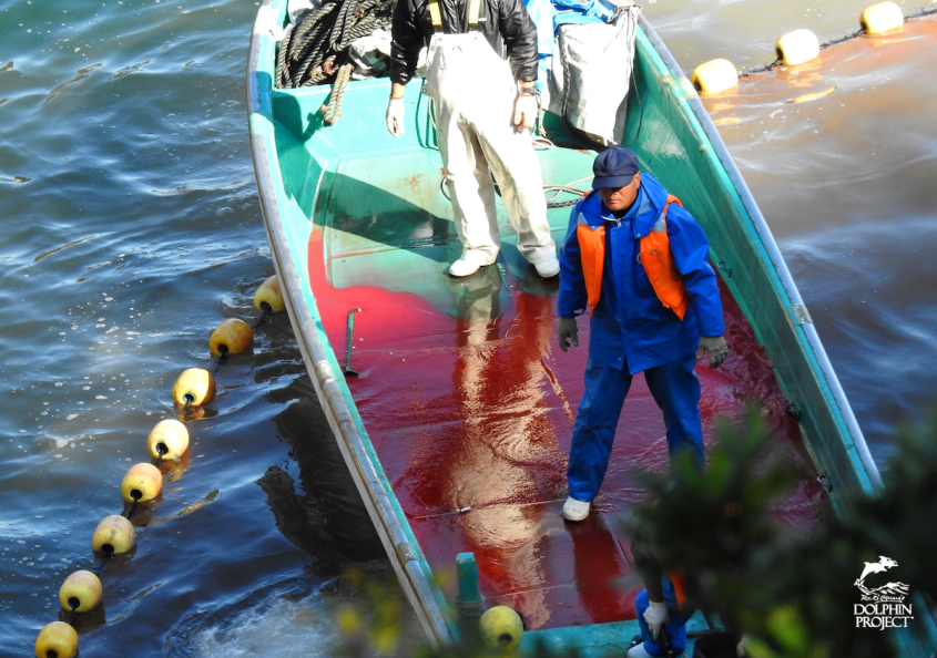 Taiji March 4.png
