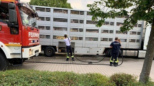 Tiertransport Kontrolle