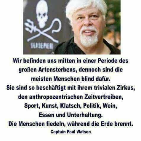 Zitat von Captain Watson_n