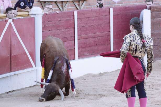 15 jährige sticht Stierjpg