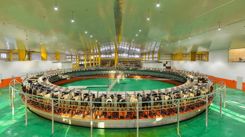 190824-katar-baladna-melkkarussell-100~1280x720