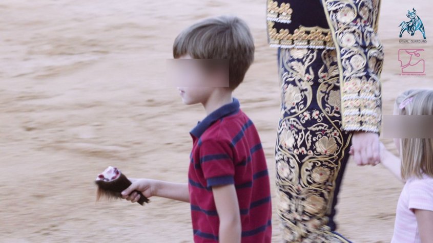 abgeschnittenes Ohr vom Stierpg