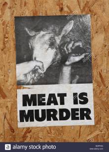 an-animal-rights-poster-pg