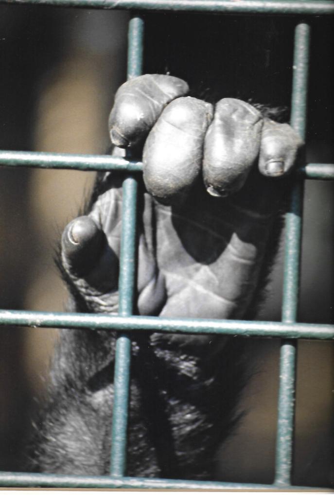 BFF Mike Dooley Photo