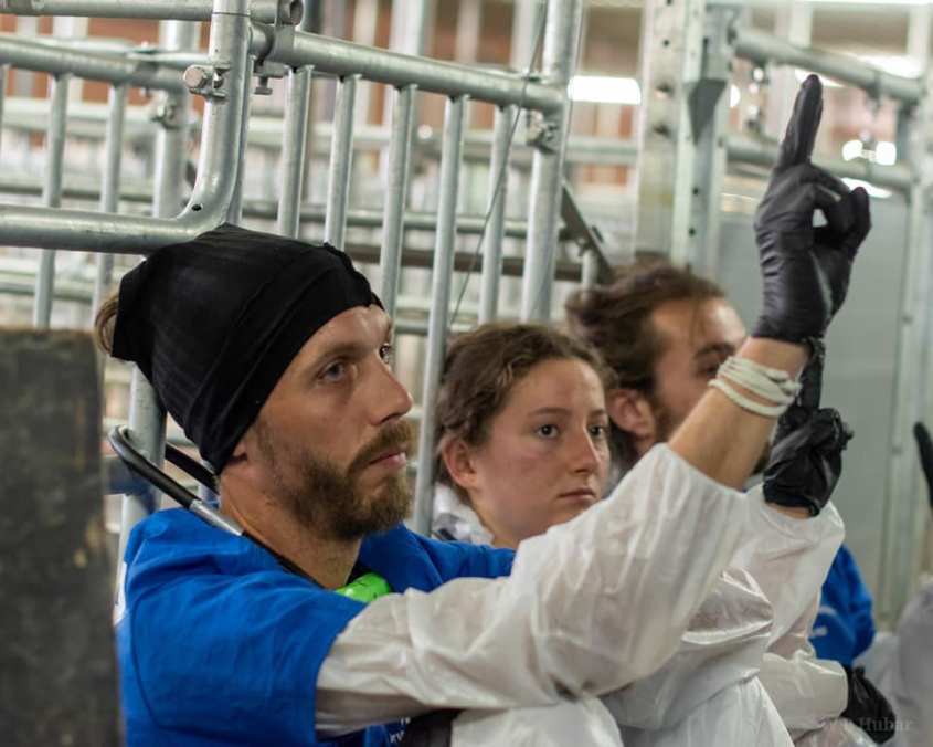 frankreich aktivistenn