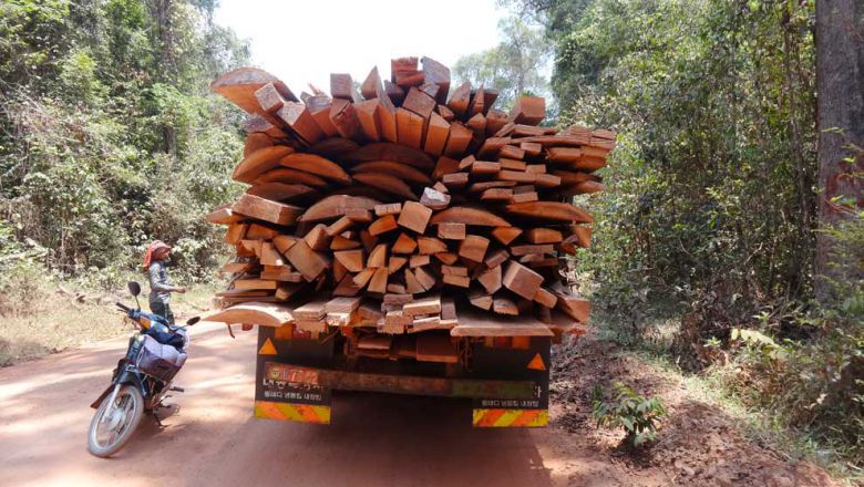 Kambodscha Waldkriminalitätjpg