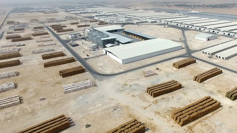 katar-baladna-bau-jpg