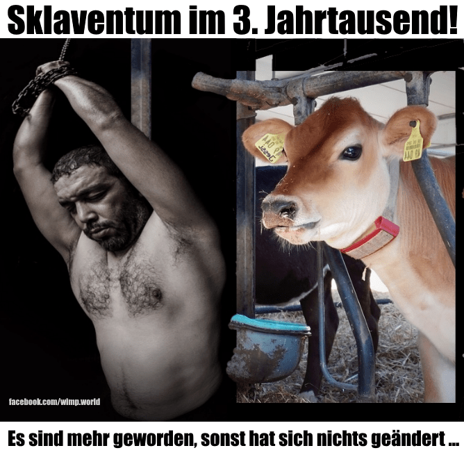 Sklaven sind mehr geworden, sonst hat sich nichts geändert n
