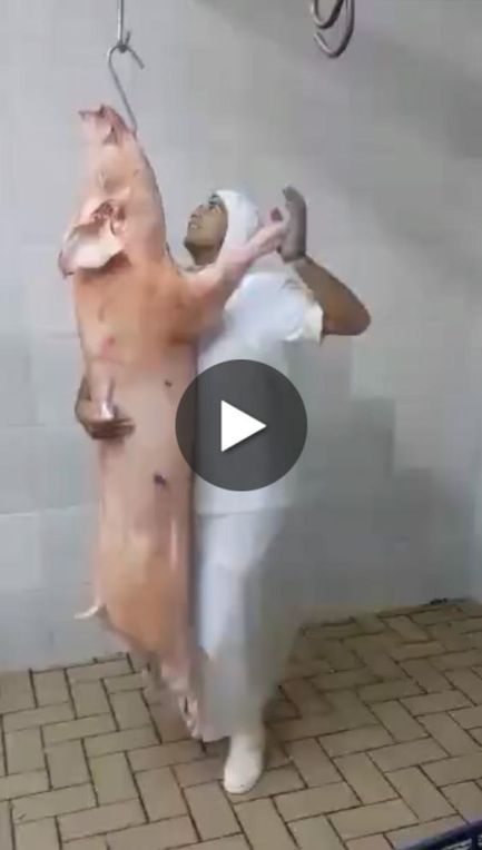 slaughterhouse dancing