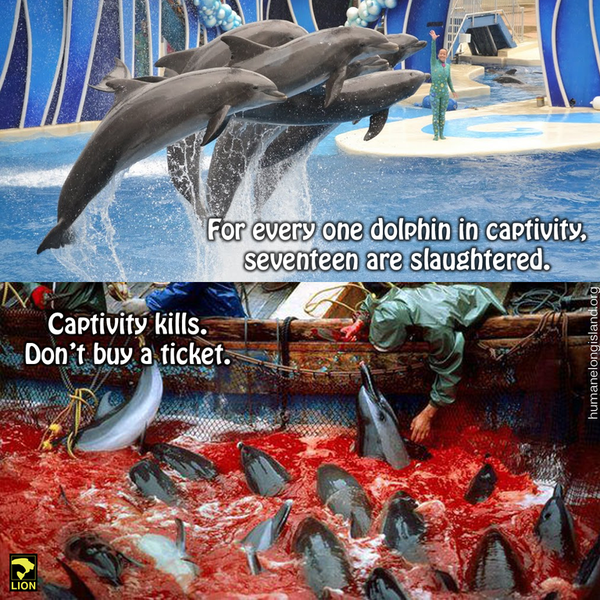 taiji 6.png