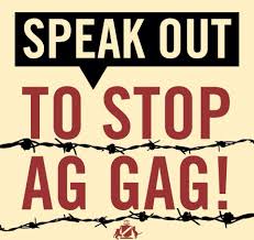 ag gag 5