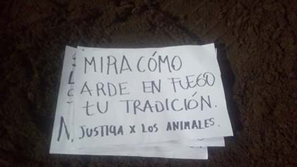 Chile_rodeo-Ligua_Sep19b