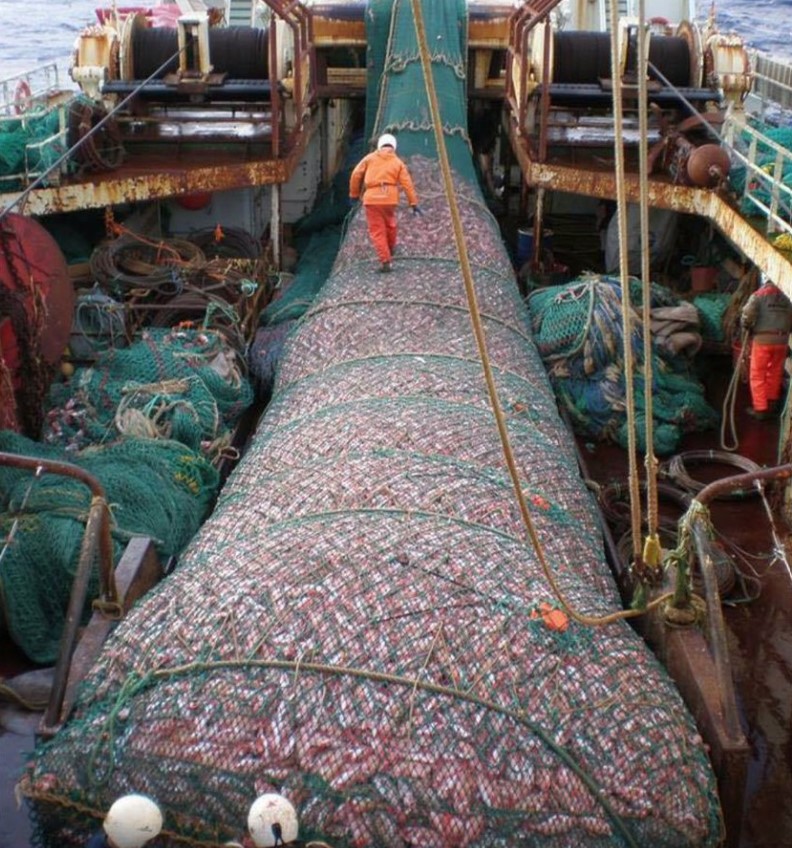 lia chinesisches Schiff