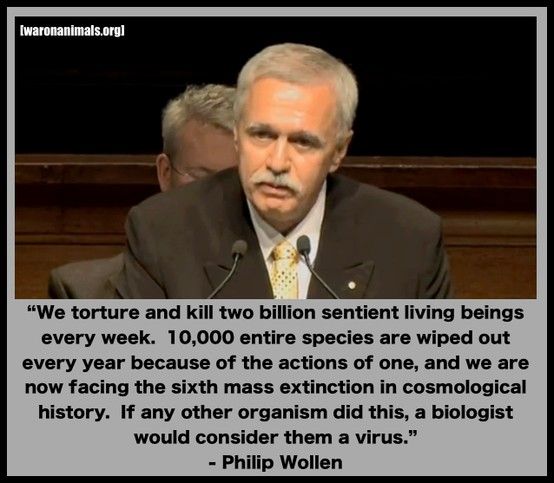 philip wolen mit zitatpg