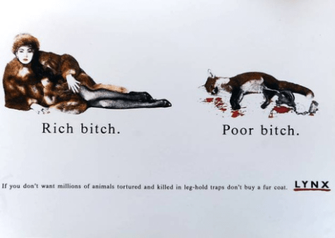 rich bitch poor bitch