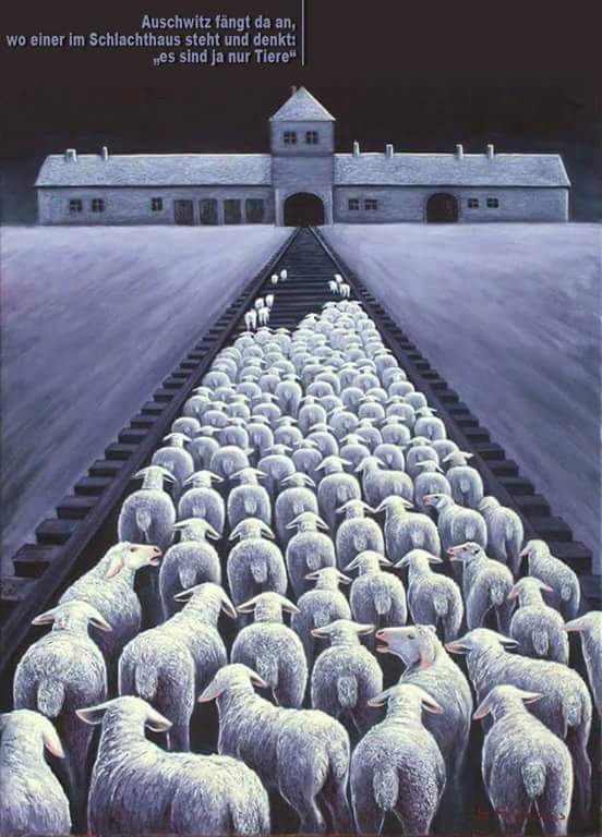 Schaffen karikatur in KZ_n