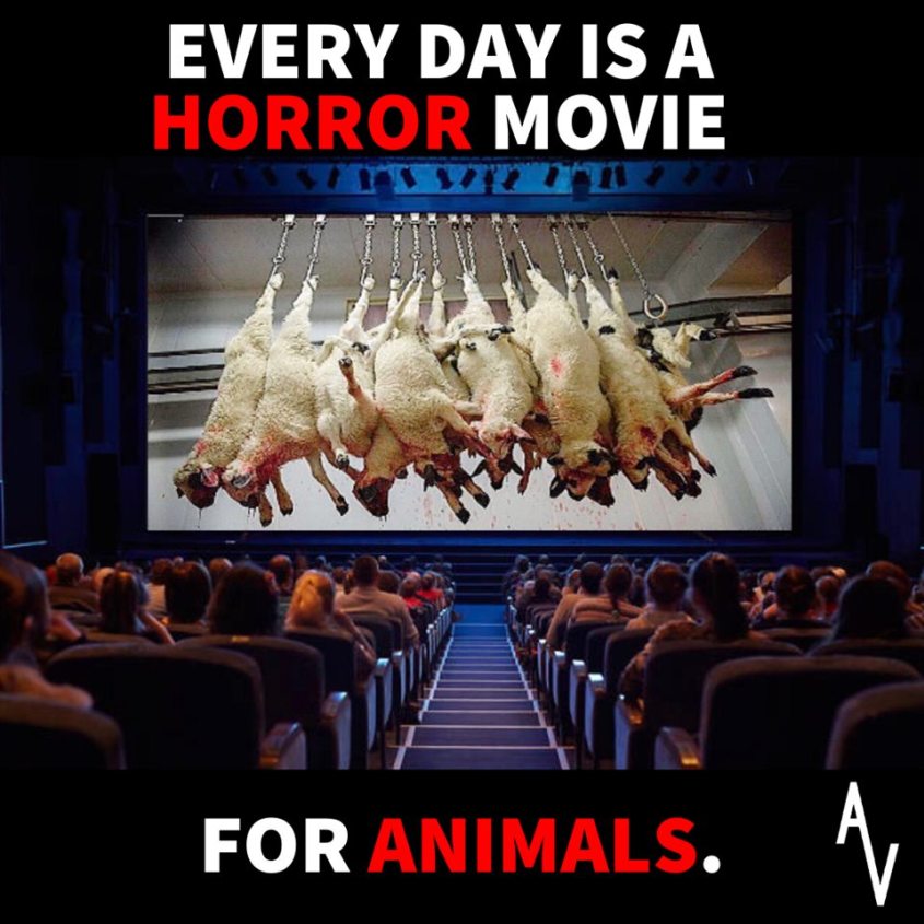 schönes slogan anonymous