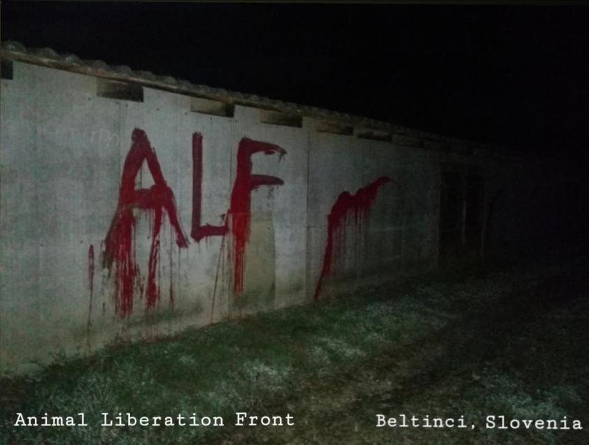 slovenia_birds_septALFpg