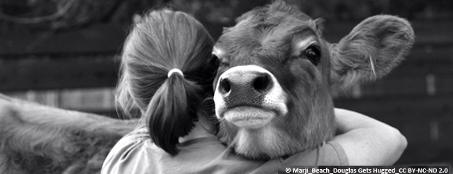 tierschutz-kinder-bildung-jpg