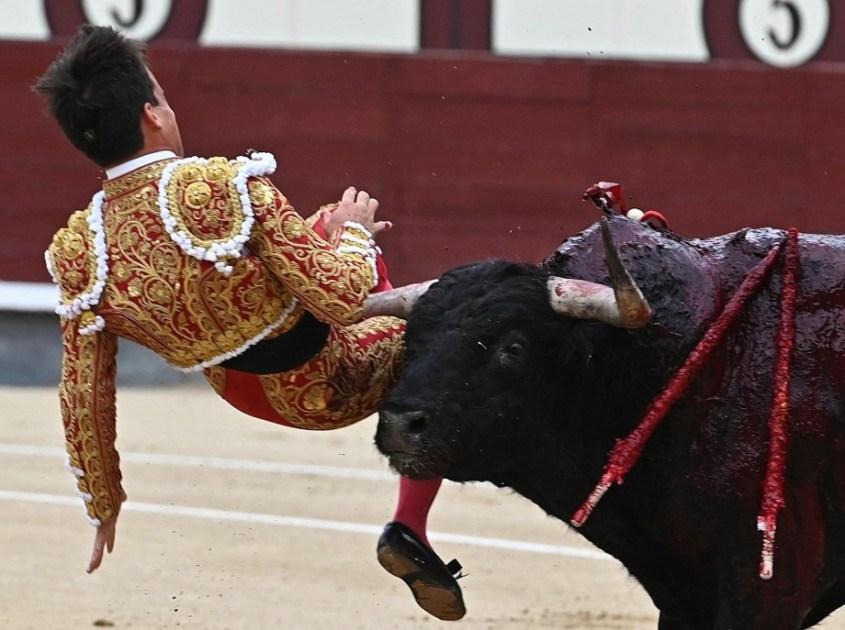 torero-gonzalo-caballero-am Stierkampf verletzt