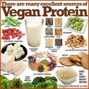 vegan protein_n