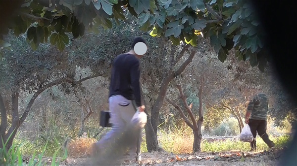 Vogel fänger Two trappers pg-600x0