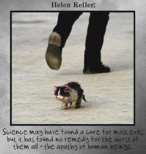 apathy of humans. Helen Keller Zitatjpg