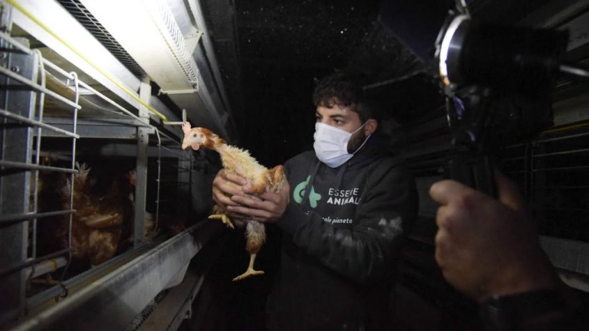 essere animali1024x576