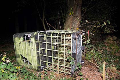 France_hunting_Nov19 2019c