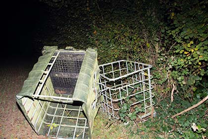 France_hunting_Nov19b