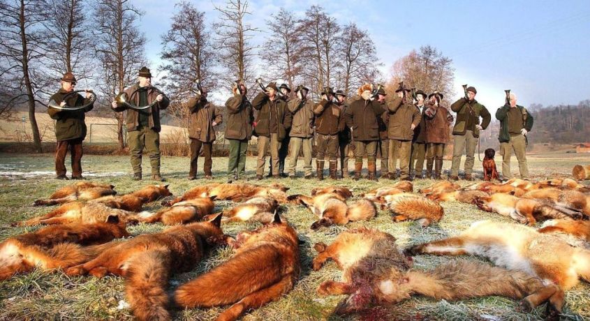 Jäger mit toten Füchsen